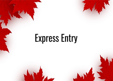 for canada immigration, canada visa, visa consultants near me, best immigration consultants for canada, services immigration, visa services, immigration, abroad consultancy, 
Immigration consultant
